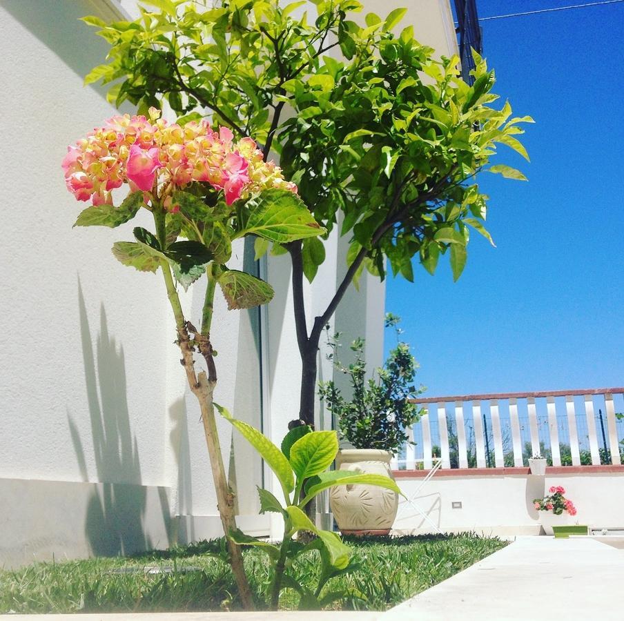 Corte Sveva B&B Affittacamere Авола Экстерьер фото